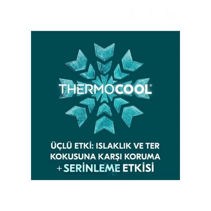 Rexona Men Thermocool Erkek Roll On Deodorant Menthol & Blue Lavender 50 ml
