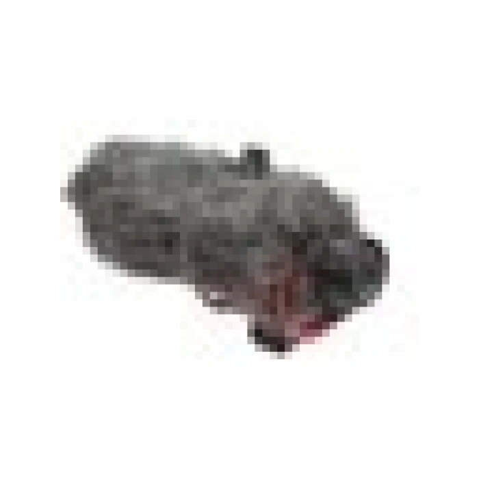 RODE DeadCat GO Windshield