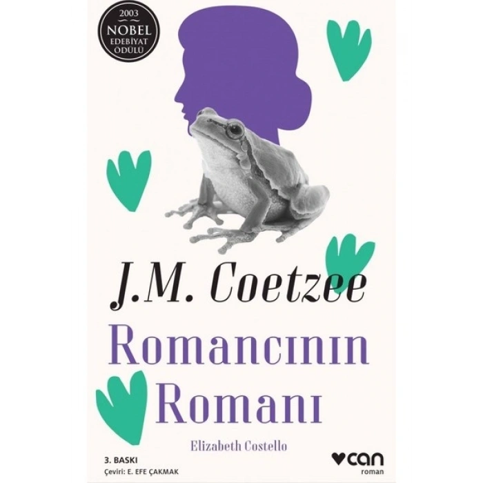 Romancının Romanı - J. M. Coetzee