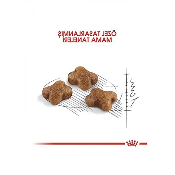 Royal Canin Kitten Yavru Kedi sı 10 Kg