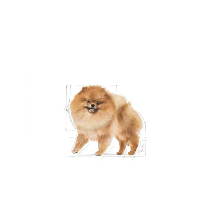 Royal Canin Pomeranian Yetişkin Köpek Maması, 1.5 Kg