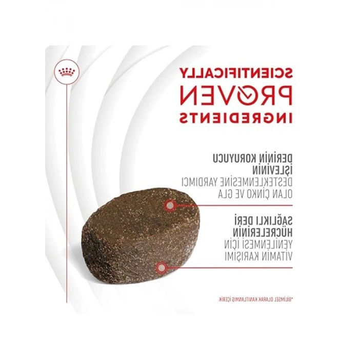 Kedi Ödülü, Tavuk-Brokoli Aromalı, 40 gr, Tekli Paket