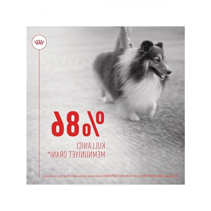 Kedi Ödülü, Tavuk-Brokoli Aromalı, 40 gr, Tekli Paket