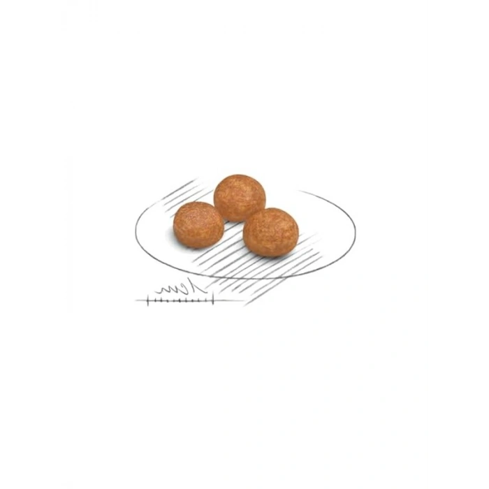 Küçük Irk Köpekler İçin Yetişkin Mama, 1.5 Kg Ağırlığında
