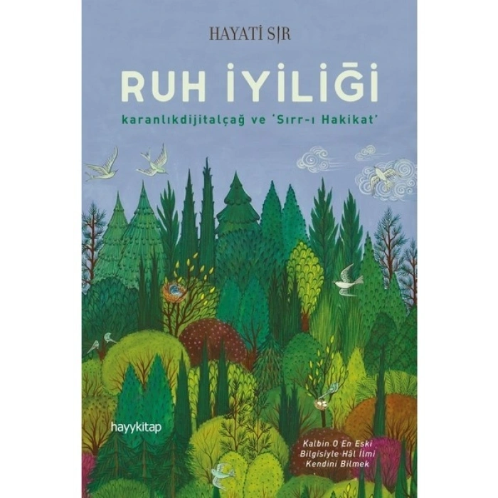 Ruh İyiliği - Hayati Sır