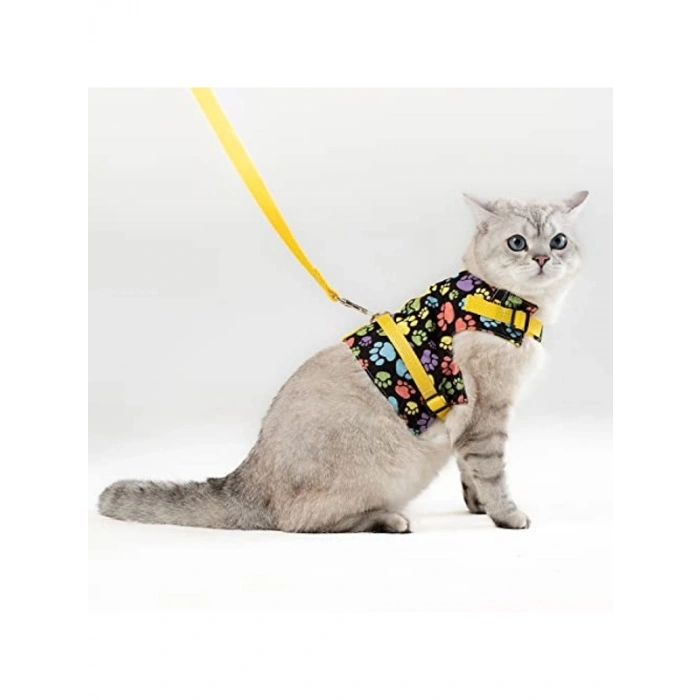 S Beden Sarı Patili Kedi ve Küçük Irk Köpek Gezdirme Tasması