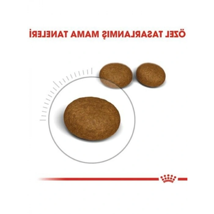 Sağlıklı Vücut Gelişimi İçin Kedi Maması, 4 kg