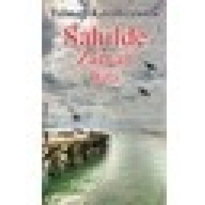 Sahilde Zaman Bitti - Yılmaz Karakoyunlu