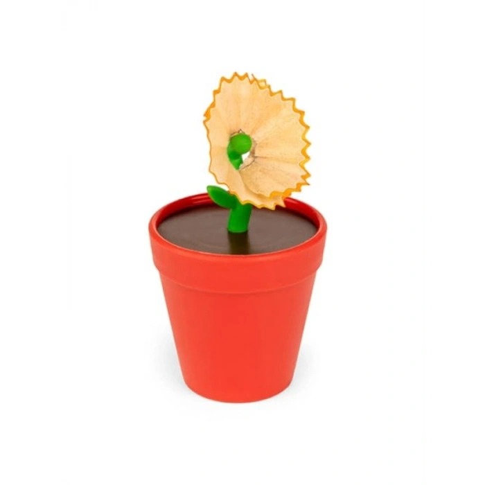 Saksıda Çiçek Kalemtıraş