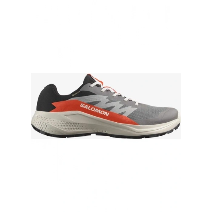 Salomon Alphaglide Gore-Tex Erkek Koşu Ayakkabısı
