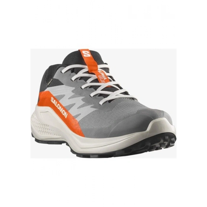 Salomon Alphaglide Gore-Tex Erkek Koşu Ayakkabısı