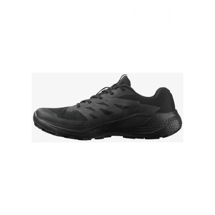 Salomon Alphaglide GORE-TEX Erkek Patika Koşusu Ayakkabısı