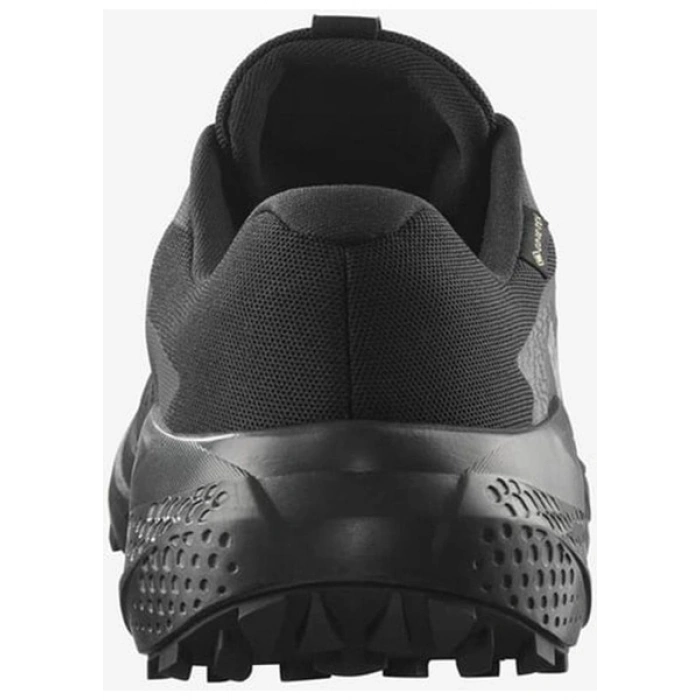 Salomon Alphaglide GORE-TEX Erkek Patika Koşusu Ayakkabısı