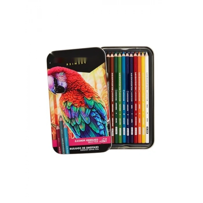 Sanat Kalitesi Renkli Kalem Seti