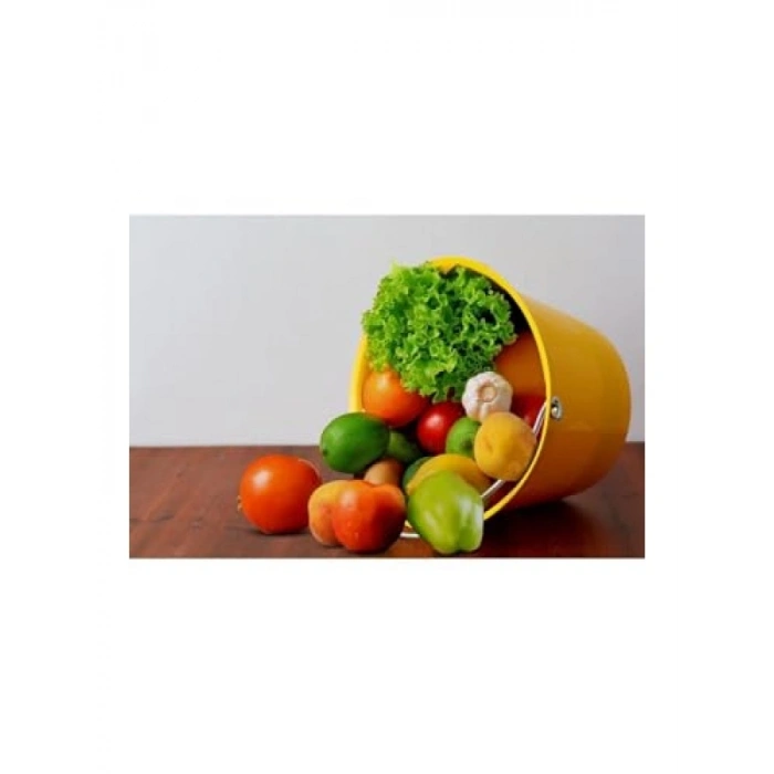 Sarı Renkli Plastik Saplı Kova