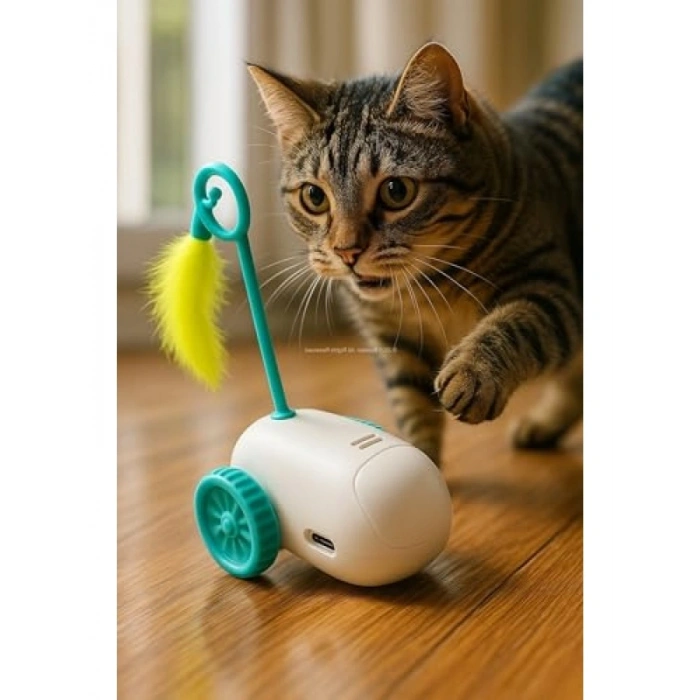 Şarjlı Fırfırlı Araba Modelli Evcil Hayvan Oyuncağı