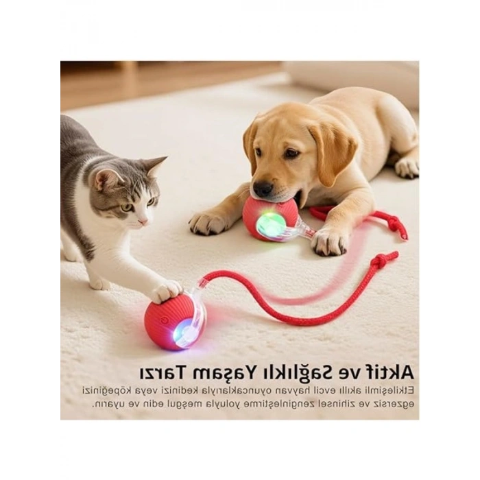 Şarjlı Hareketli Kedi ve Köpek Oyuncağı, Otomatik