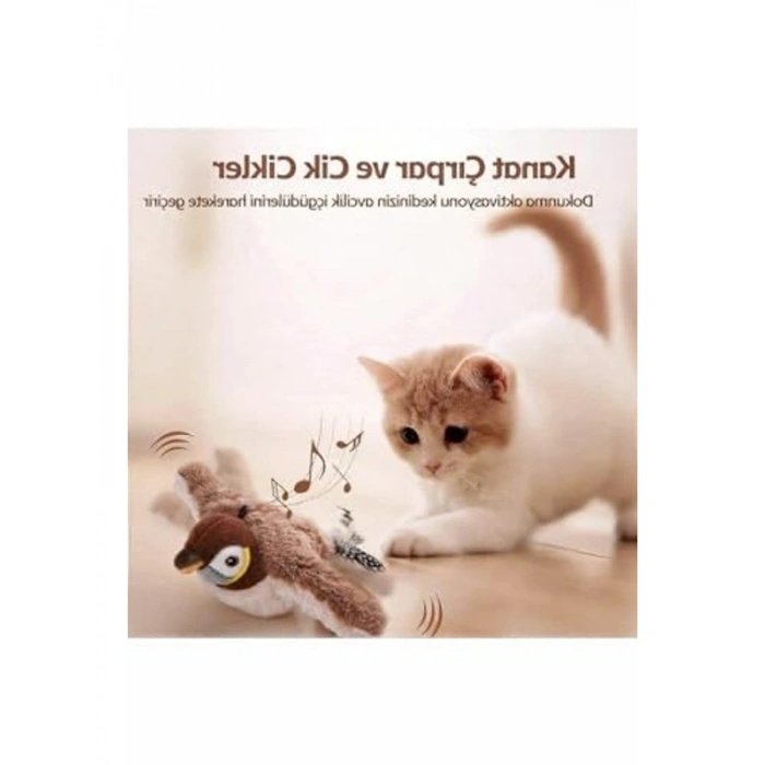 Şarjlı Titreşimli Uçan Kuş Oyuncağı, Kedi Eğlencesi