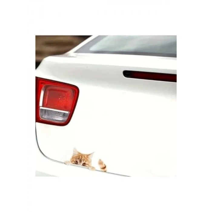Sarman Kedi Sticker, Arabalar için Eğlenceli Dekor