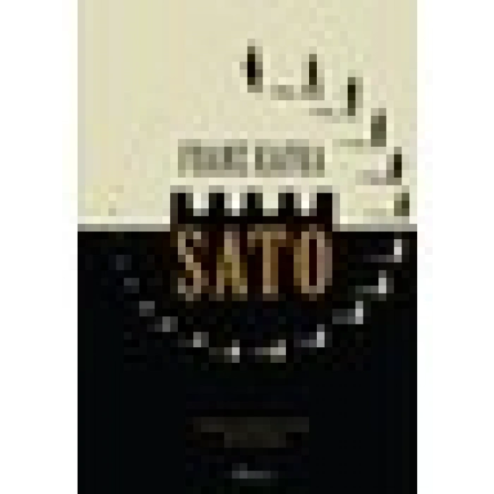 Şato (Bez Ciltli) - Franz Kafka