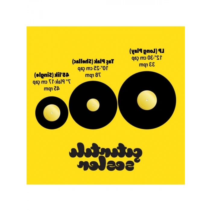 Şeffaf Antistatik Plak Zarfı - 7 Boyutunda, 20 Adet