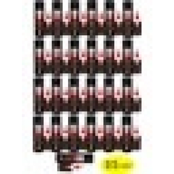 Selsil Ninja Mdf Hızlı Yapıştırıcı 25 Adet 200 Ml+50 gr (1 Koli)