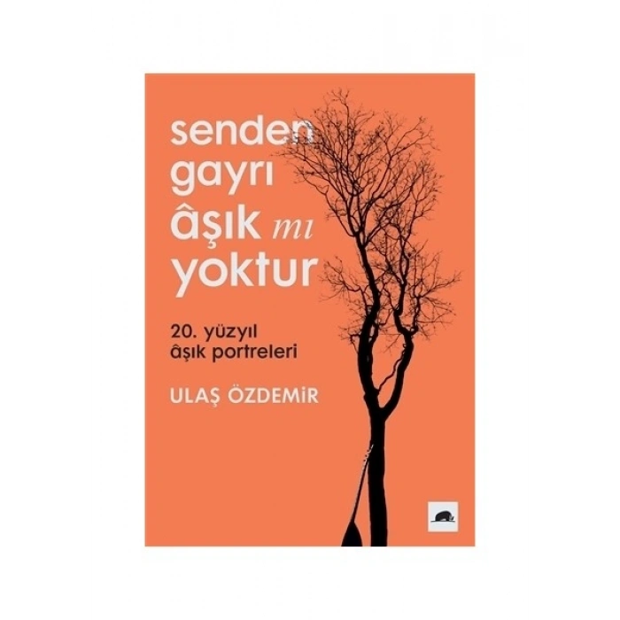 Senden Gayrı Aşık mı Yoktur - Ulaş Özdemir