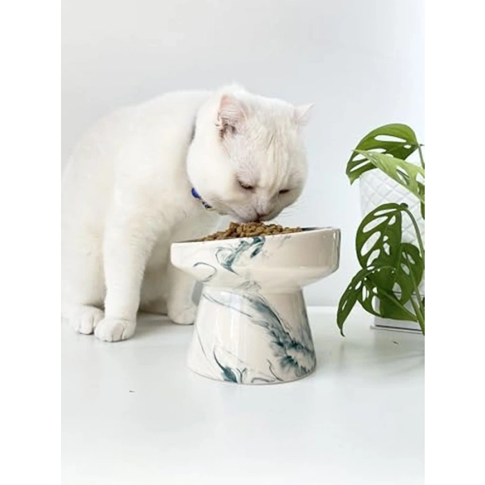 Seramik Kedi Ve Köpek Mama Su Kabı YEŞİL EBRU
