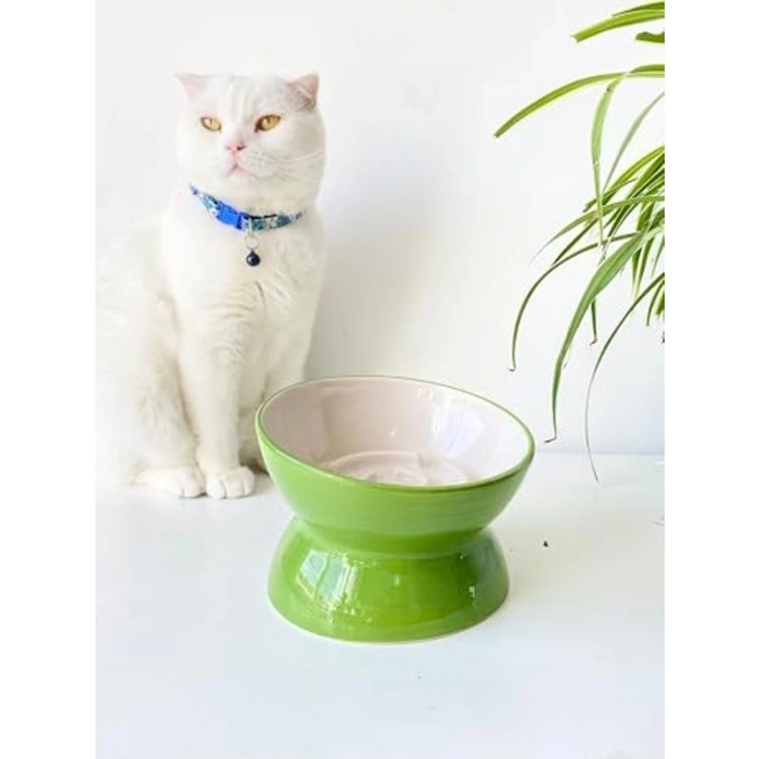 Seramik Yavaş Yeme Kedi Mama Kabı, Yeşil Renk