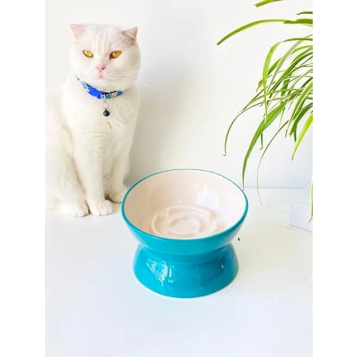 Seramik Yavaş Yeme Mama Kabı, Turkuaz Renkli Kedi İçin