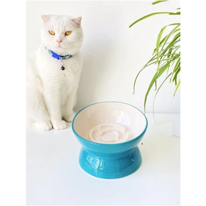 Seramik Yavaş Yeme Mama Kabı, Turkuaz Renkli Kedi İçin
