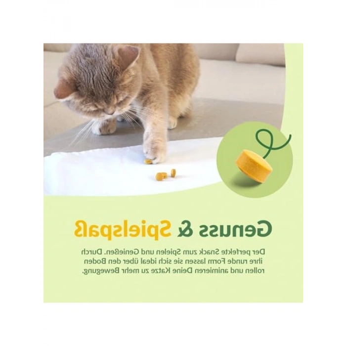 Sert Peynirli Tahılsız Kedi Atıştırmalığı, 425 g Paket