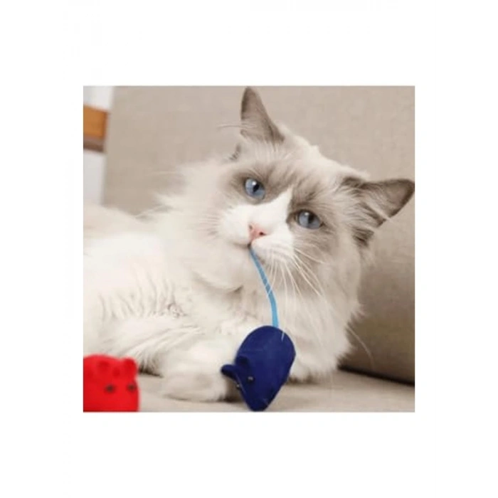 Sesli Fare Kedi Oyuncağı, 4lü Set, Zeka Oyunu