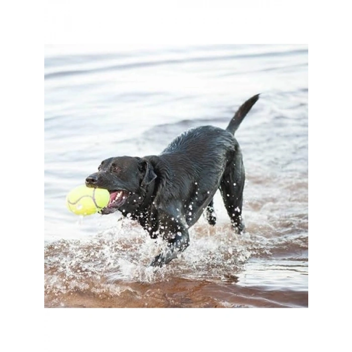 Sesli Futbol Topu, Medium - 12,5 cm