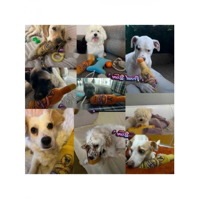 Sesli Şişe Şeklinde Köpek Oyuncağı, Hışırdayan Peluş