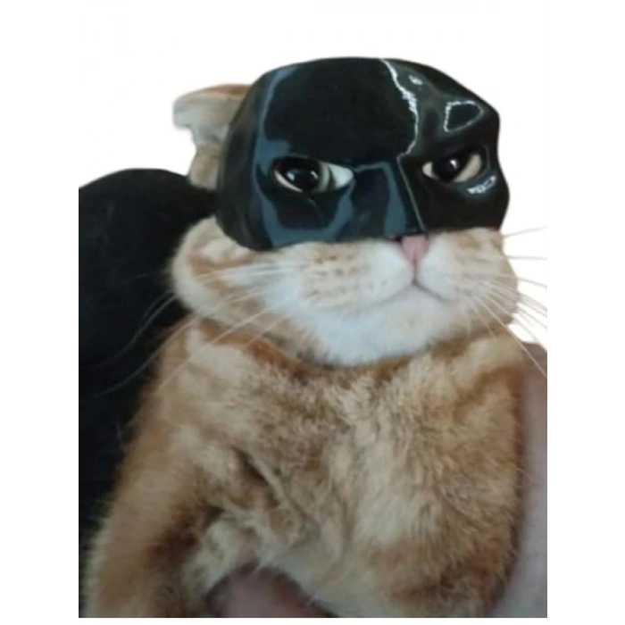 Sevimli Kedi Maskesi, Eğlenceli Aksesuar