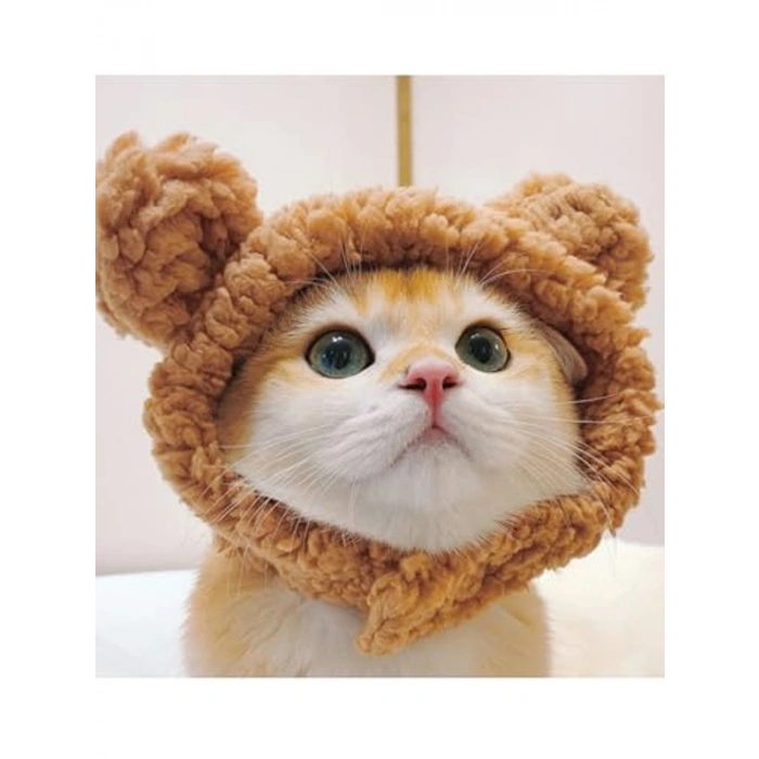 Sevimli Kedi Şapkası, Ayarlanabilir Kostüm Seti