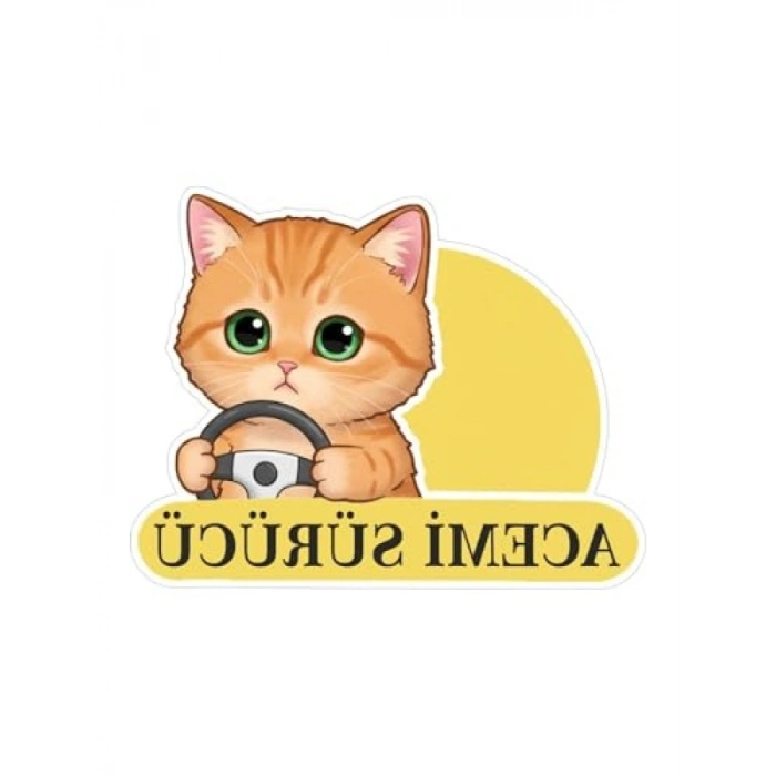 Sevimli Kedi Temalı Renkli Araba Etiketi ve Sticker Seti