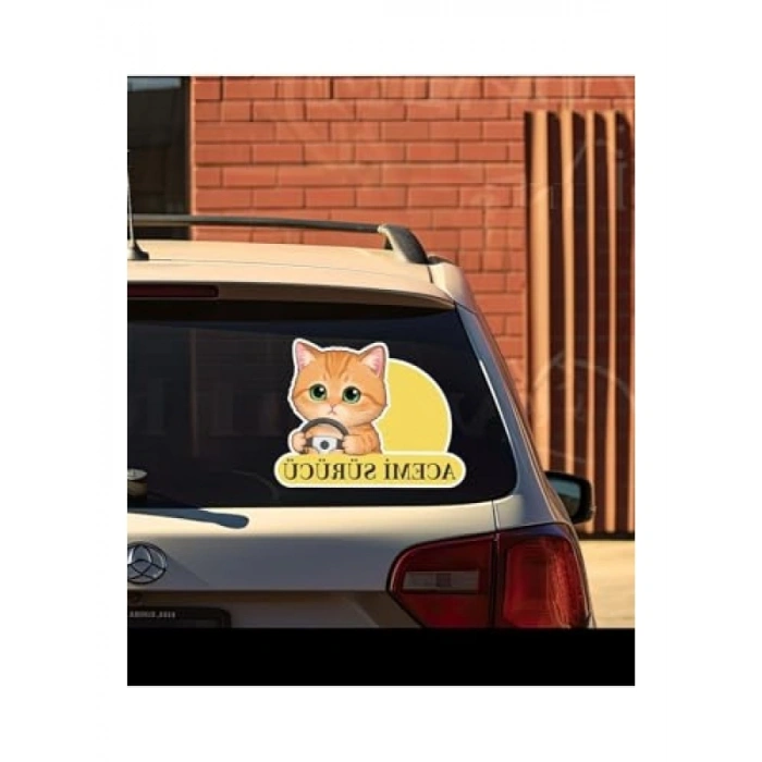 Sevimli Kedi Temalı Renkli Araba Etiketi ve Sticker Seti