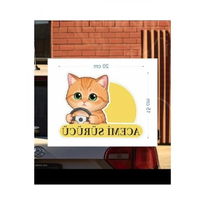 Sevimli Kedi Temalı Renkli Araba Etiketi ve Sticker Seti