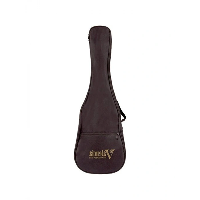 Seyahat İçin Uygun Boyutlarda Gitar, Kolay Taşınabilir