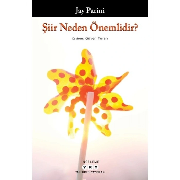 Şiir Neden Önemlidir? - Jay Parini
