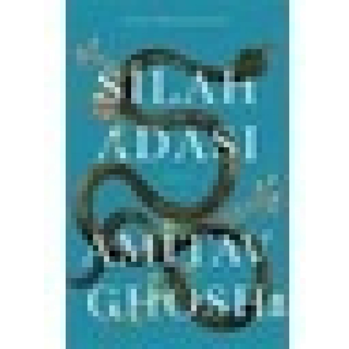 Silah Adası - Amitav Ghosh