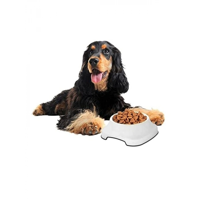 Silikon Kaydırmaz Taban Kedi ve Köpek Mama Kabı, 2 Litre