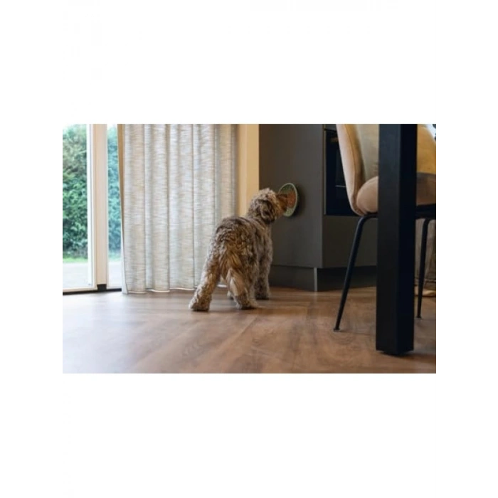 Silikon Yavru Köpek Mama Yeme Oyuncağı, Yeşil, 19 cm