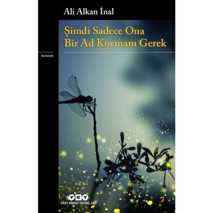 Şimdi Sadece Ona Bir Ad Koymam Gerek - Ali Alkan Inal