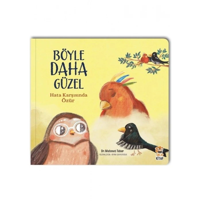 Sincap Kitap Böyle Daha Güzel - Hata Karşısında Özür - Mehmet Teber