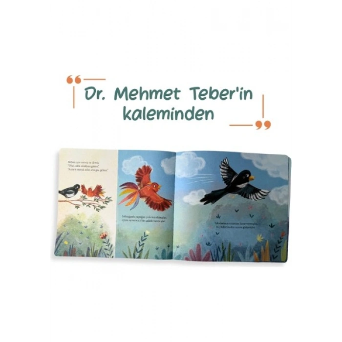 Sincap Kitap Böyle Daha Güzel - Hata Karşısında Özür - Mehmet Teber