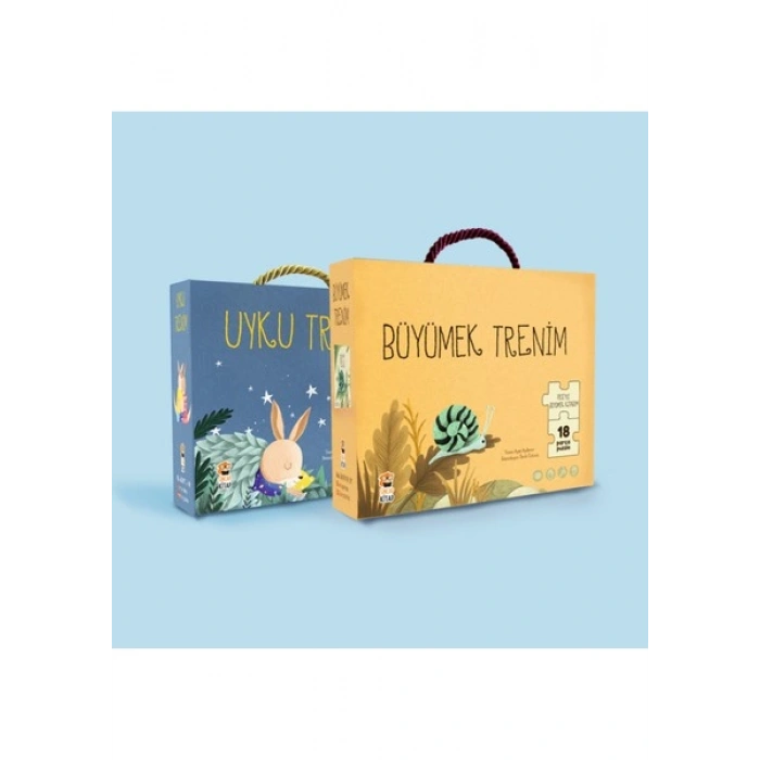 Sincap Kitap Pigi - Büyümek Trenim - Ayşe Aydemir