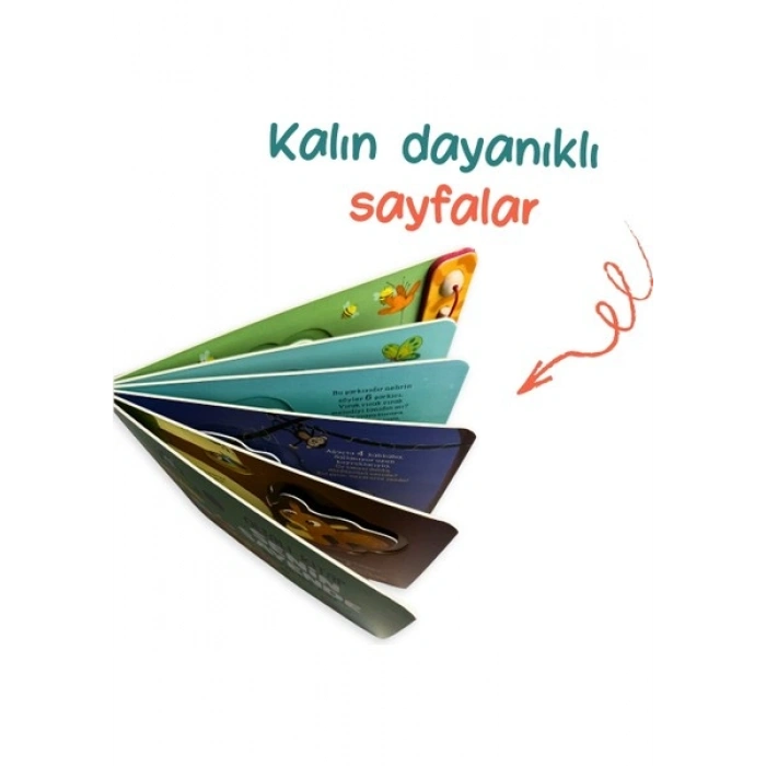 Sincap Kitap Senin Sayende Sayalım Mı? Oltalı Kitap
